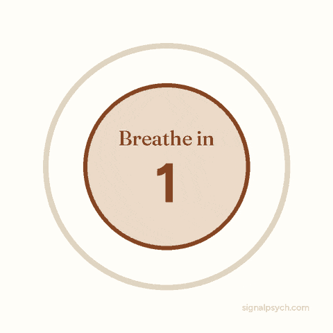 Animated circle that grows for four seconds while the words Breathe in appear, then shrinks for four seconds while the words Breathe out appear, repeating every eight seconds