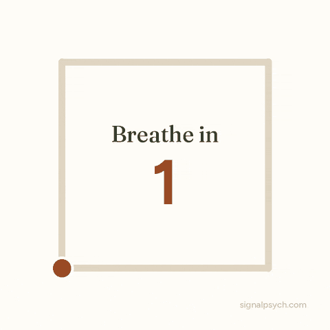 Animated square that traces each side for four seconds while the words Breathe in, Hold, Breathe out, Hold appear, repeating every 16 seconds